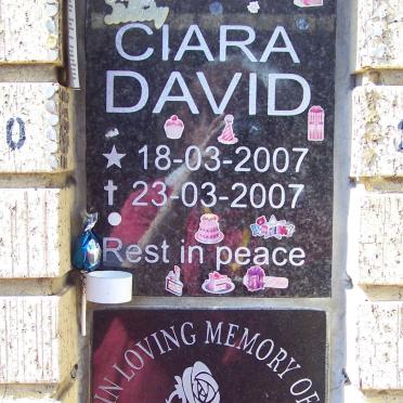 DAVID Cara 2007-2007 :: PARKER Vivienne A. 1935-2007