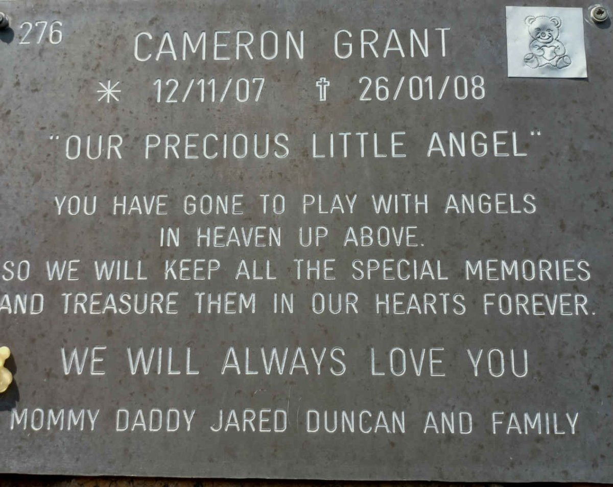 GRANT Cameron 2007-2008