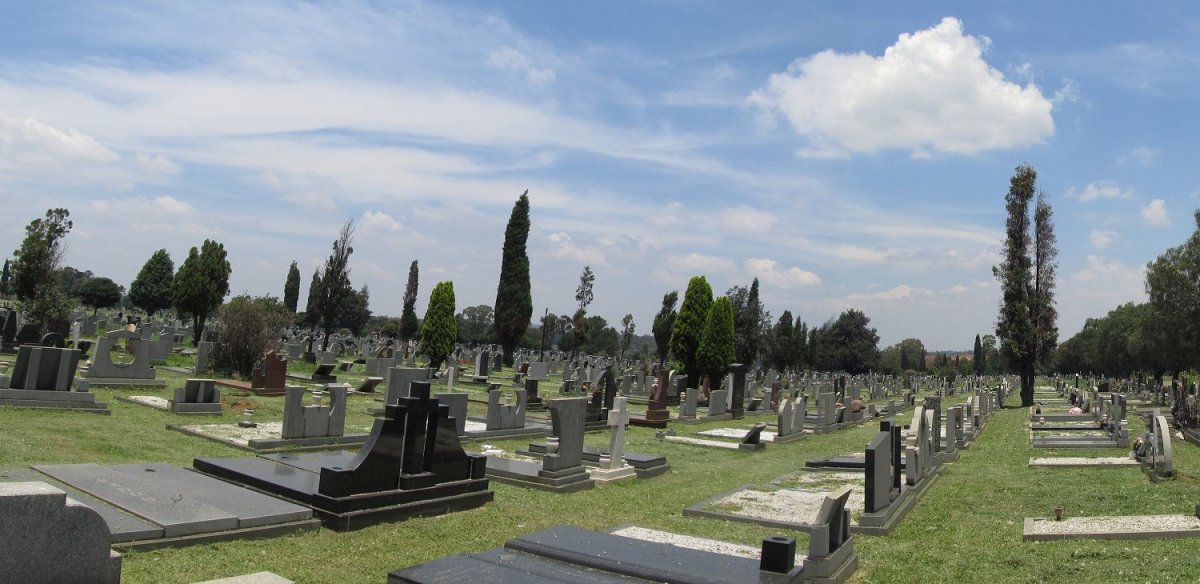 3. Overview