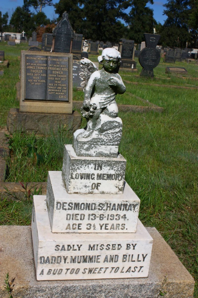 HANNAY Desmond S. 1934