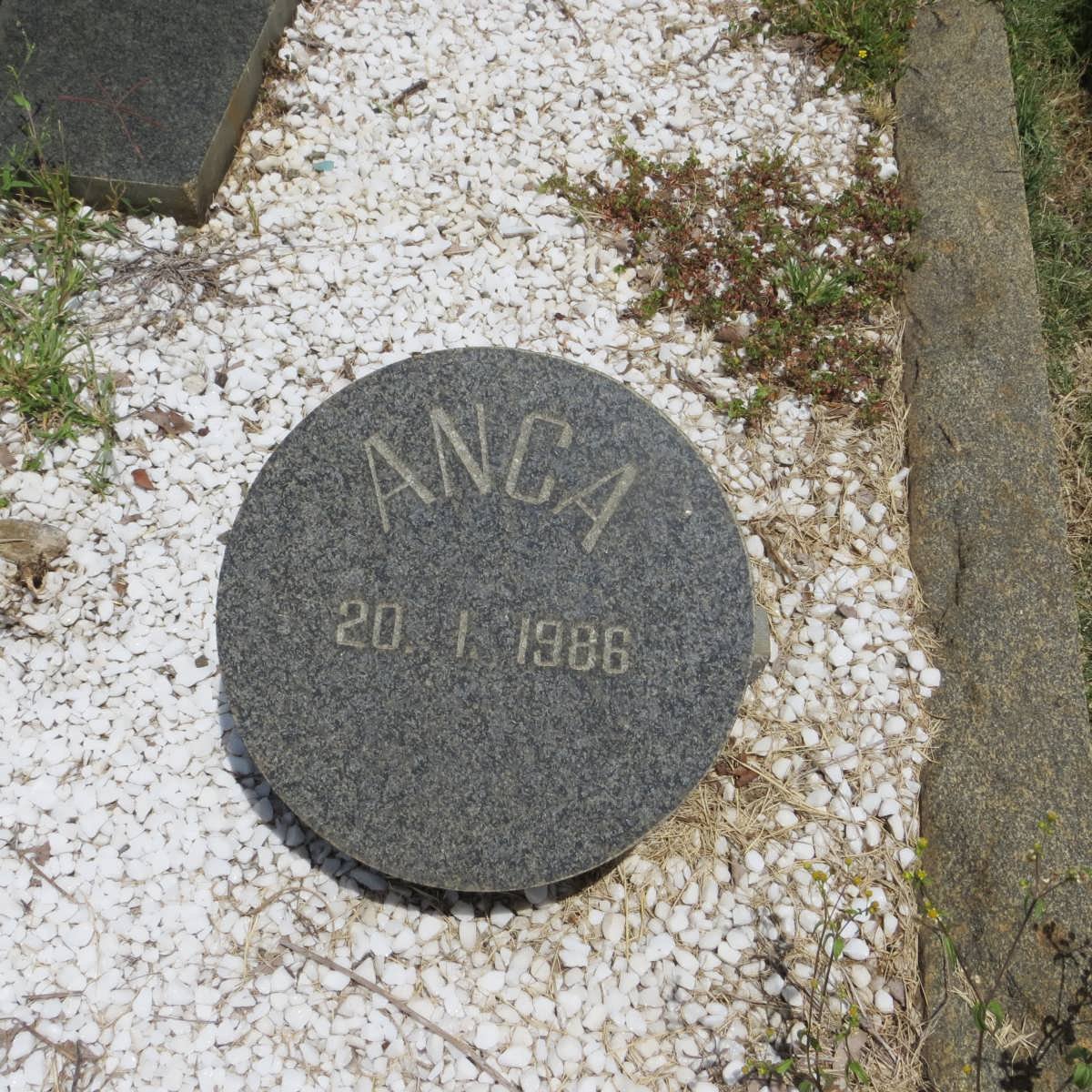 KRUGER Anca -1986