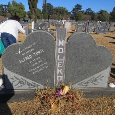 MOLEKO Alfred Tonti 1939-1998