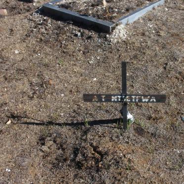 MTSETFWA A.T.