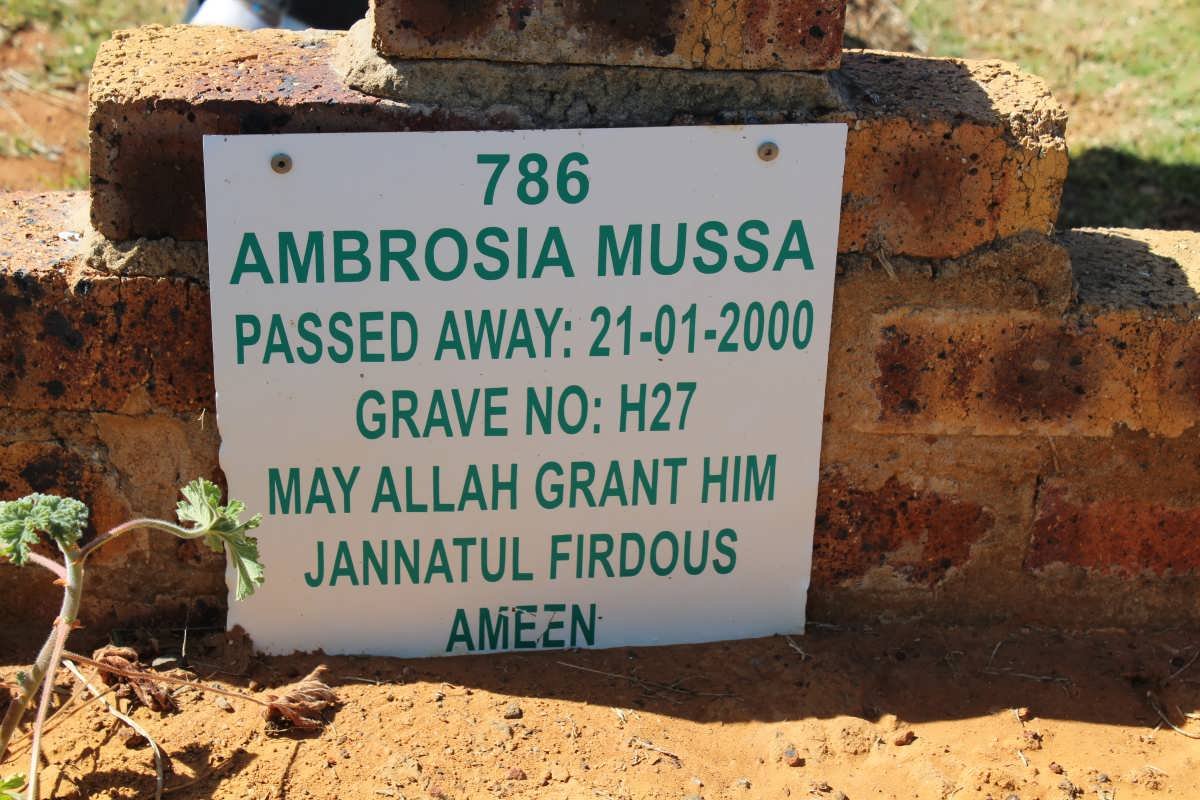 MUSSA Ambrosia -1000