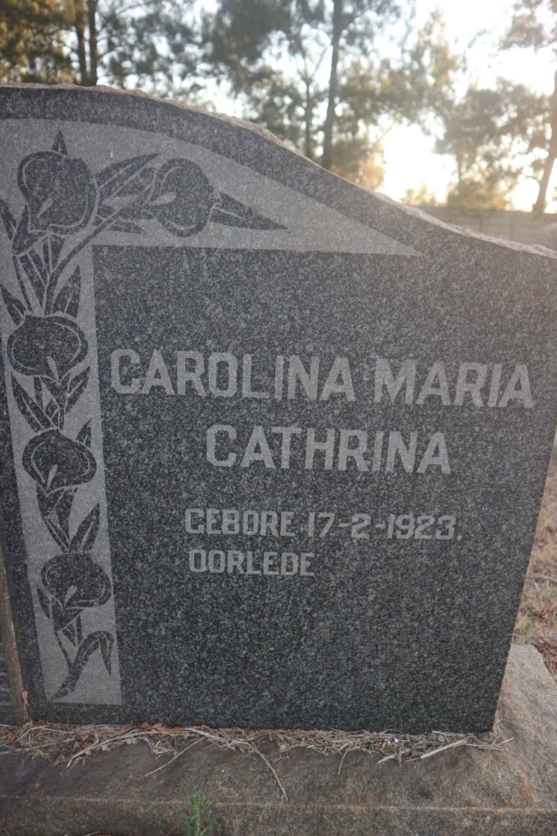 SCHOLTZ Hermanus Edward 1923-1956 &amp; Carolina Maria Cathrina 1923- :: SCHOLTZ Hermanus Edward 1951-1956
