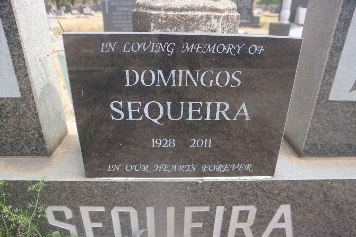 SEQUEIRA Domingos 1928-2011