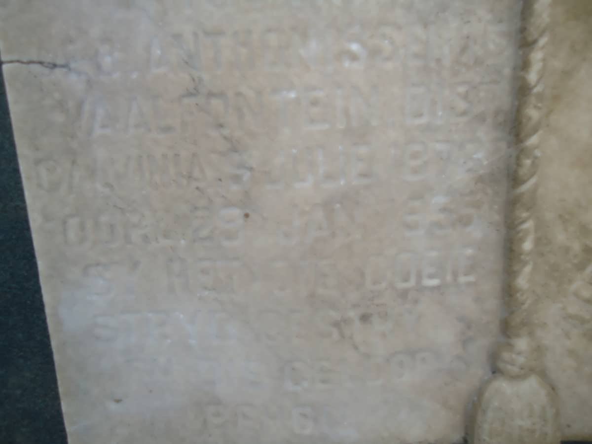 STEENKAMP ? Anthonis 187?-19?5