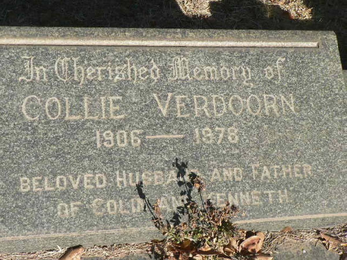 VERDOORN Collie 1906-1978