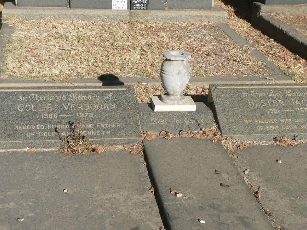 VERDOORN Collie 1905-1978 &amp; Hester Jacoba 1901-1958