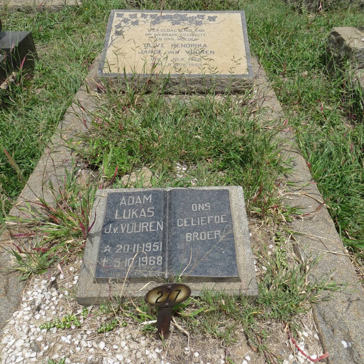 VUUREN Olive Hendrika, Janse van 1928-1953 :: J.v. VUUREN Adam Lukas 1951-1968