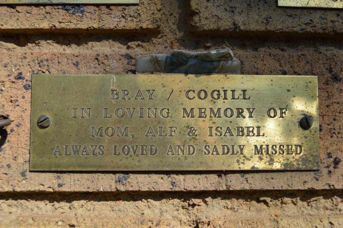 BRAY :: COGILL