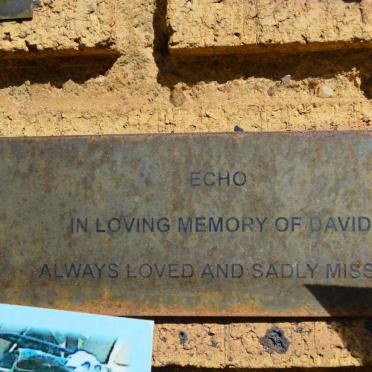 ECHO David