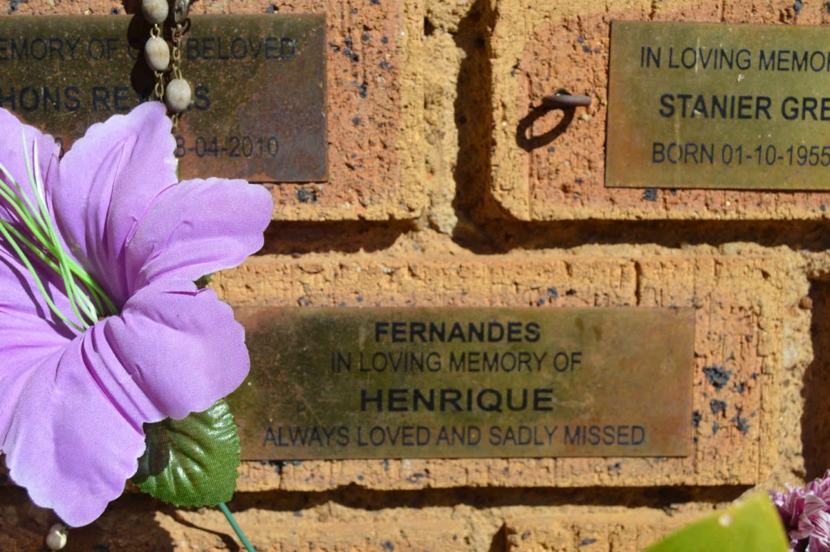FERNANDES Henrique