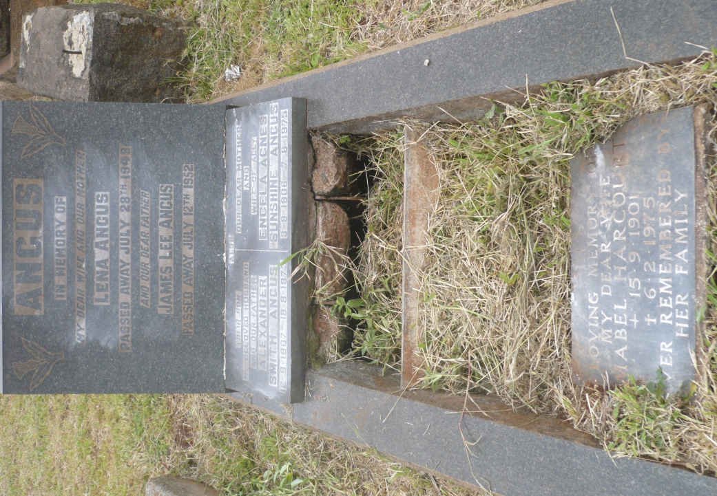 ANGUS James Lee -1952 &amp; Lena -1949 :: ANGUS Alexander Smith 1907-1973 &amp; Engela Agnes Sunshine 1906-1975