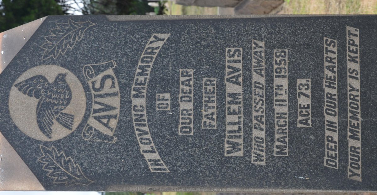 AVIS Willem -1958