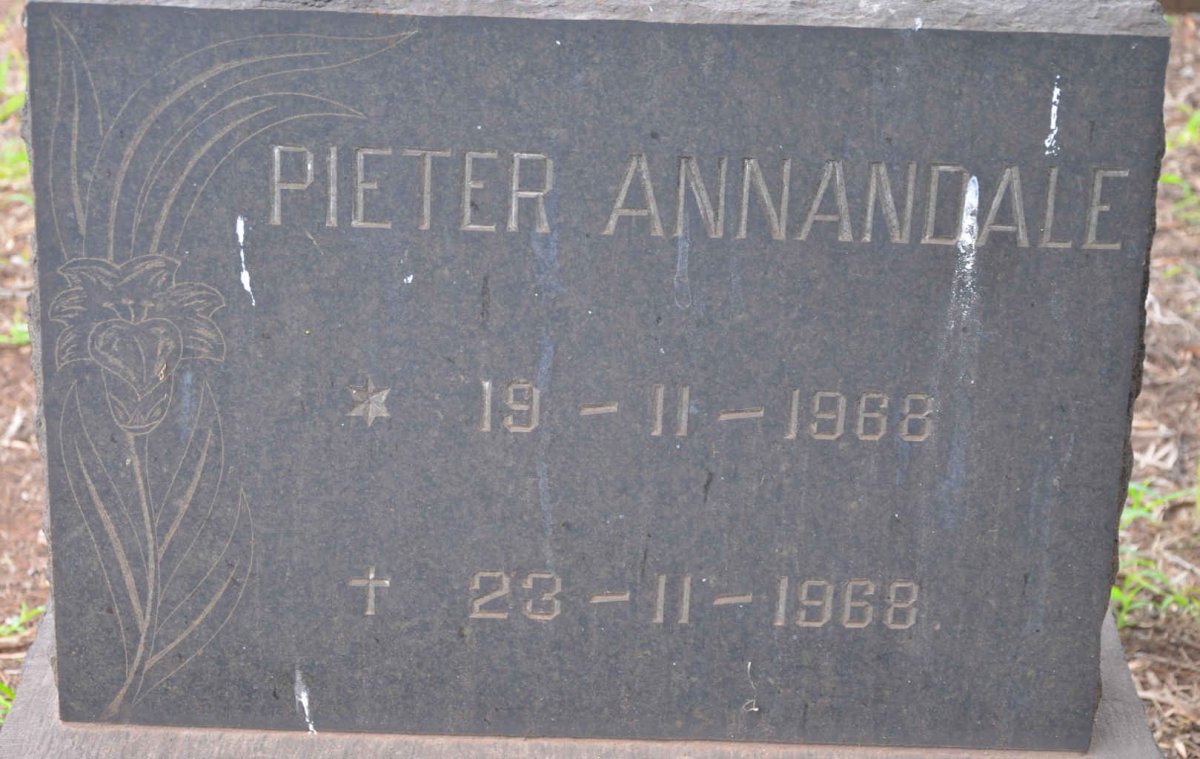 ANNANDALE Pieter 1968-1968