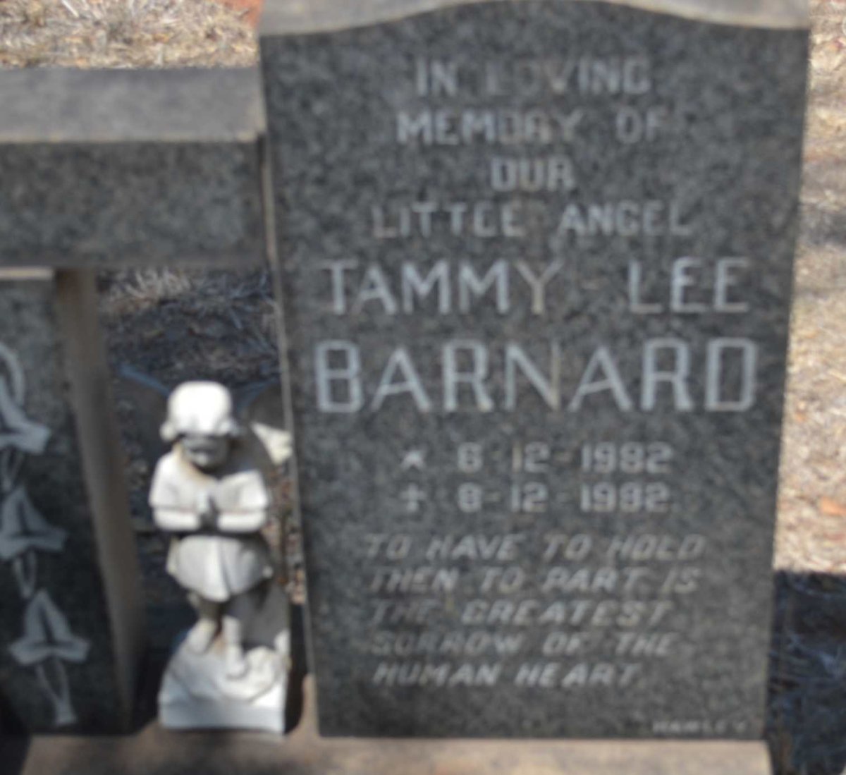 BARNARD Tammy Lee 1982-1982