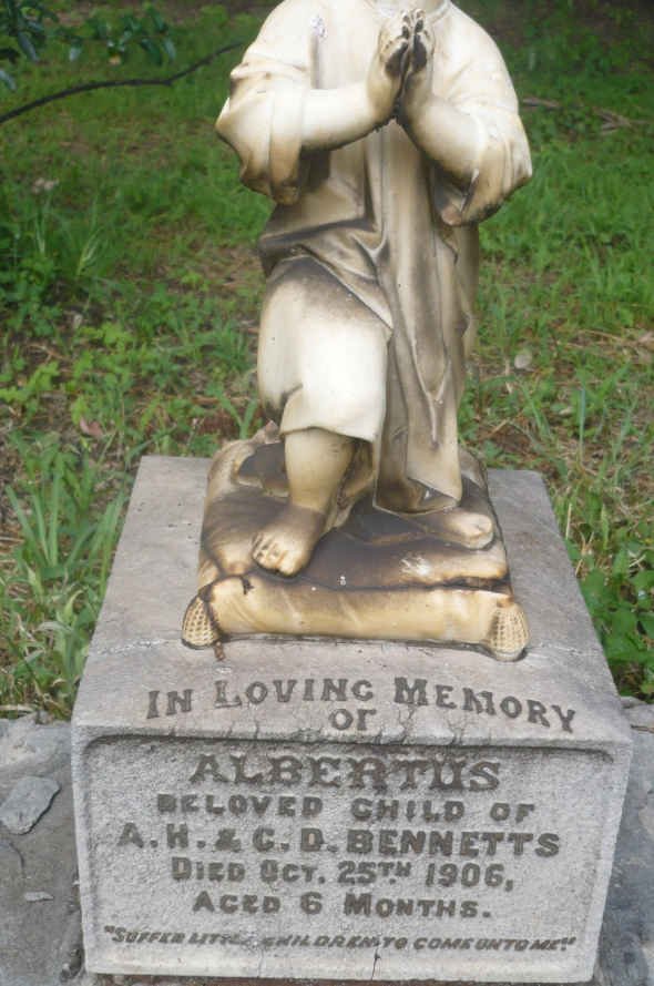 BENNETTS Albertus -1906