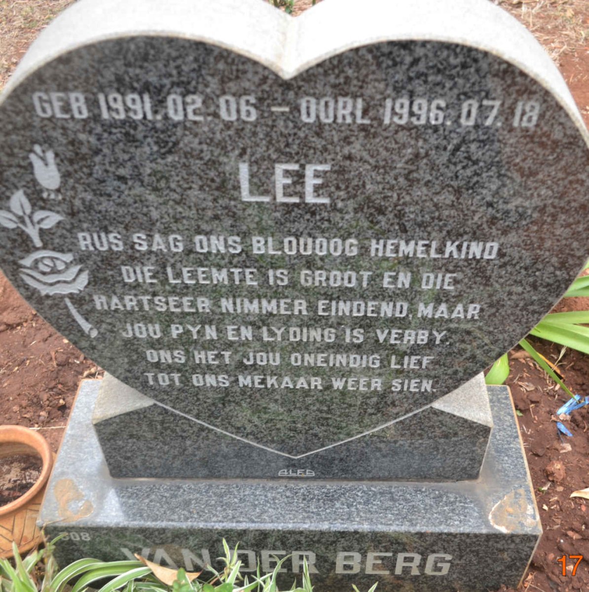 BERG Lee, van der 1991-1996