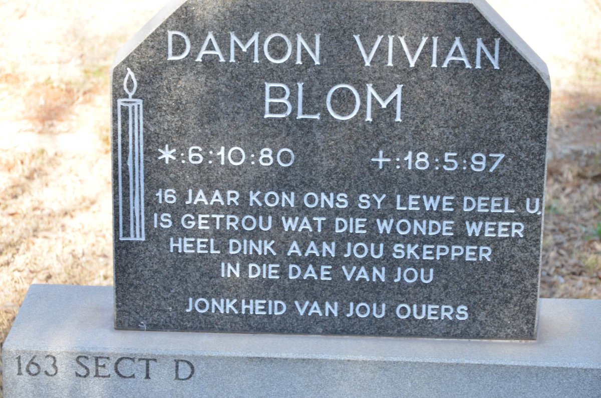 BLOM Damon Vivian 1980-1997