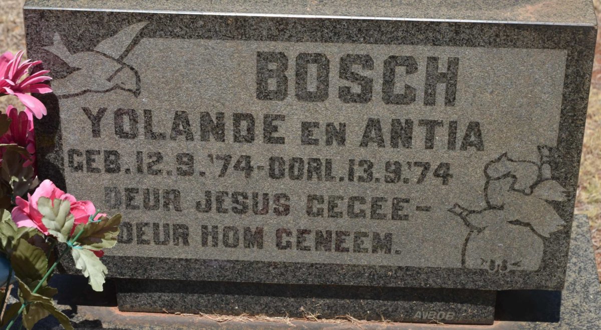BOSCH Yolande 1974-1974 :: BOSCH Antia 1974-1974