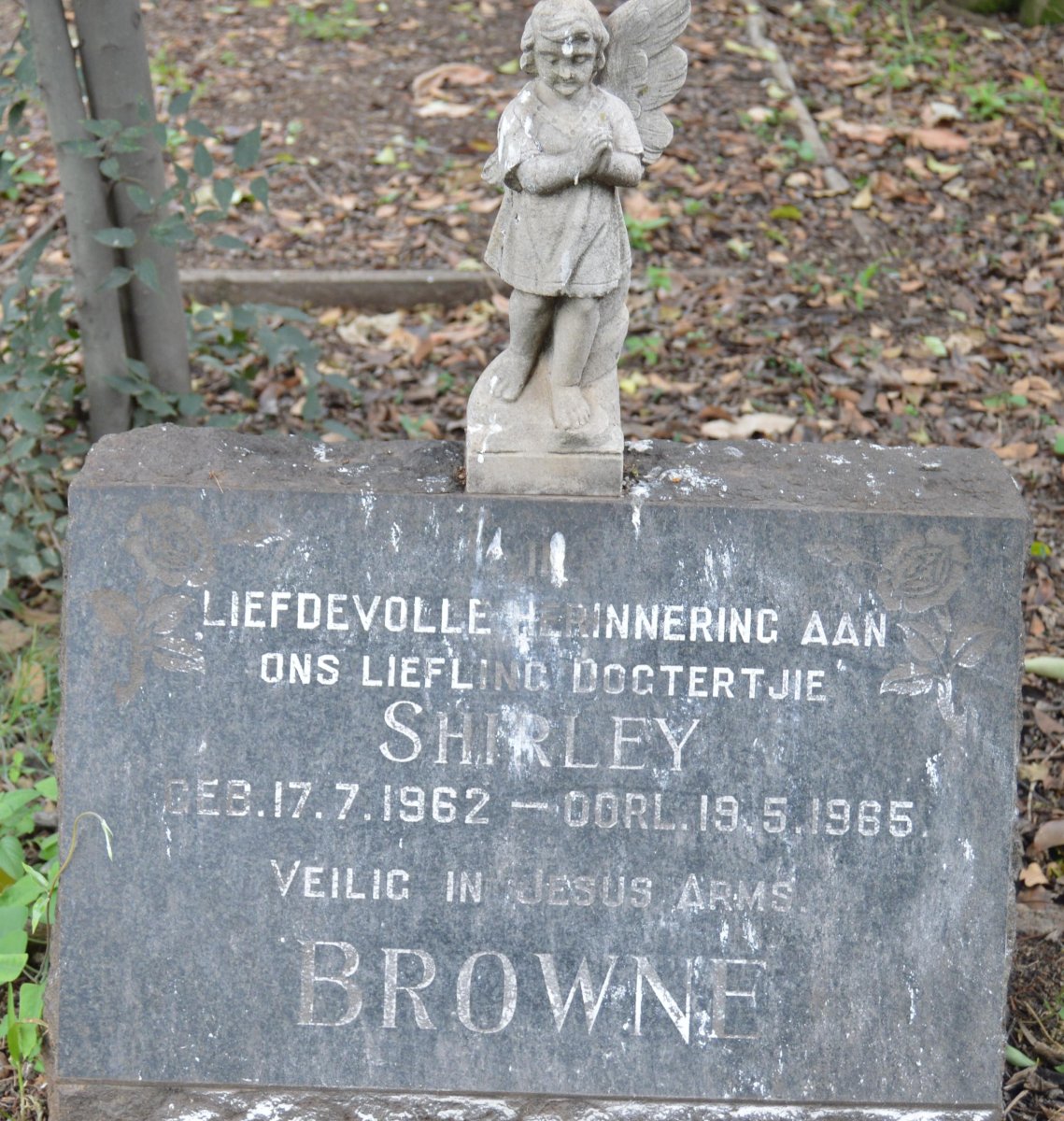 BROWNE Shirley 1962-1965