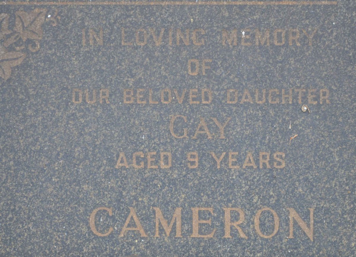 CAMERON Gay