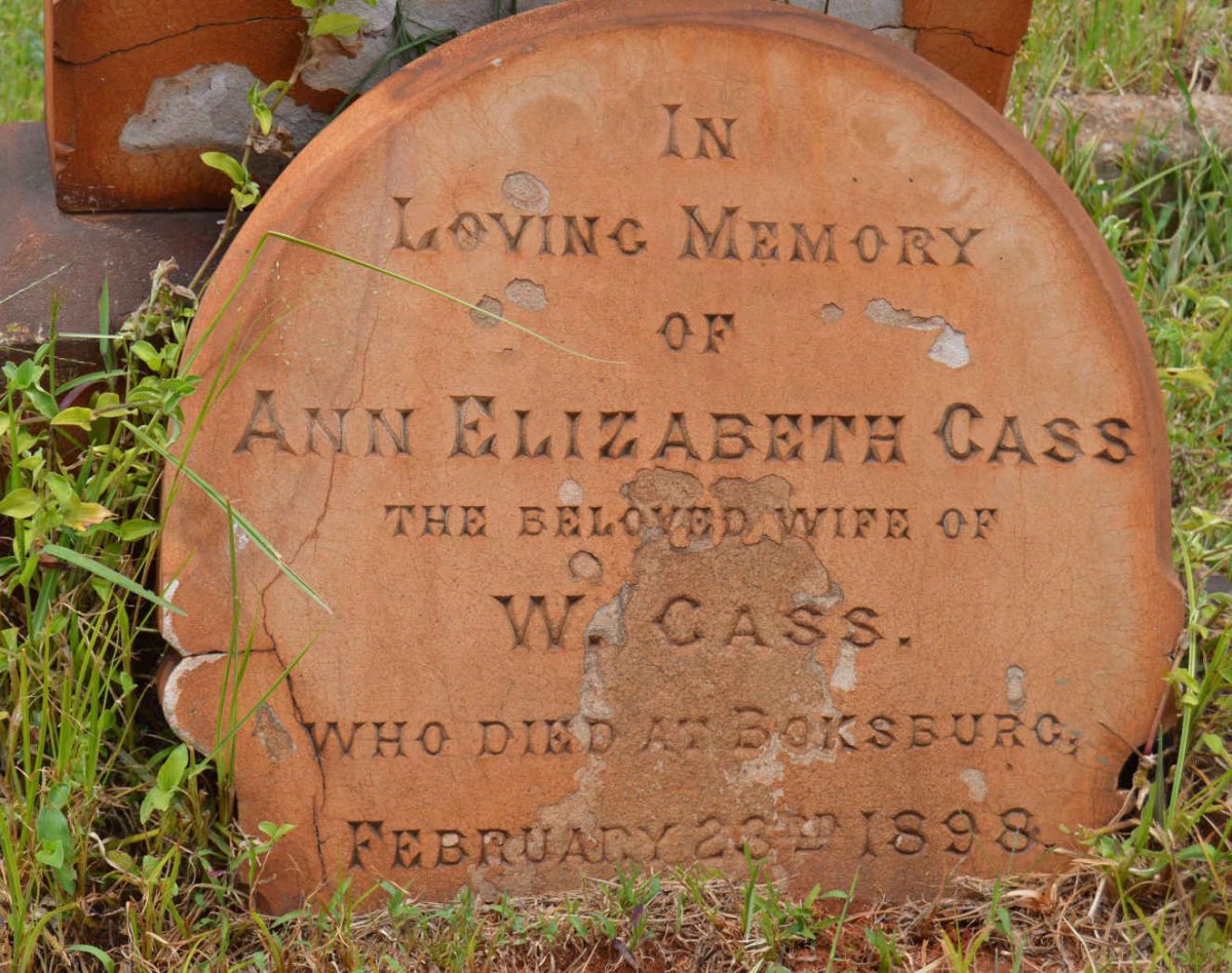CASS Ann Elizabeth -1898