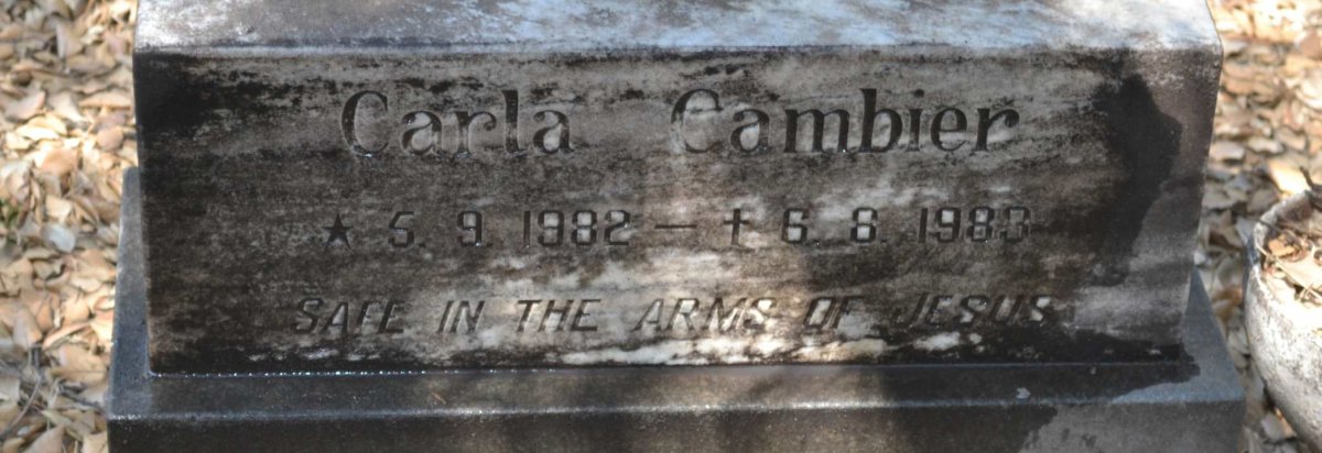 CAMBIER Carla 1982-1983