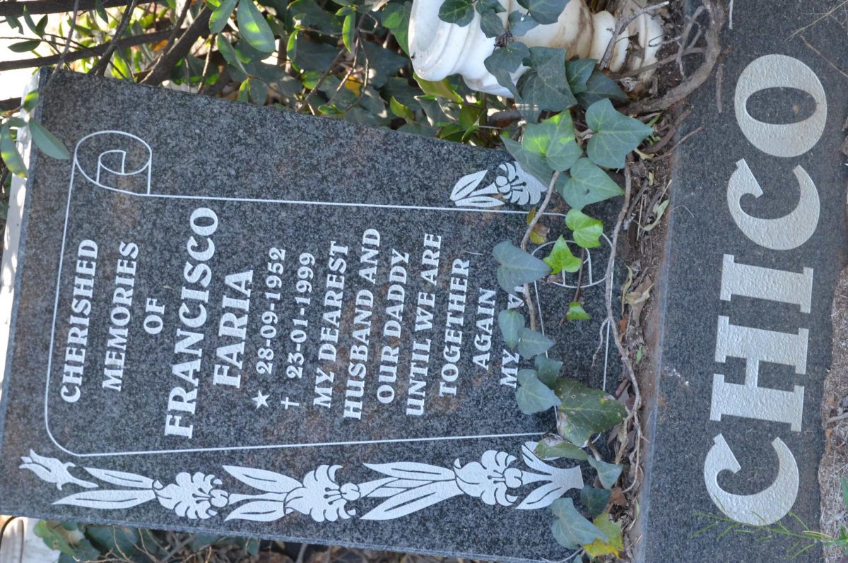 CHICO Francisco Faria 1952-1999