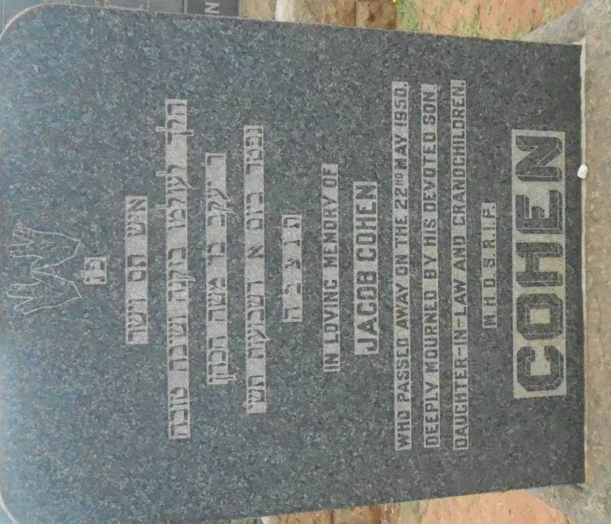 COHEN Jacob -1950