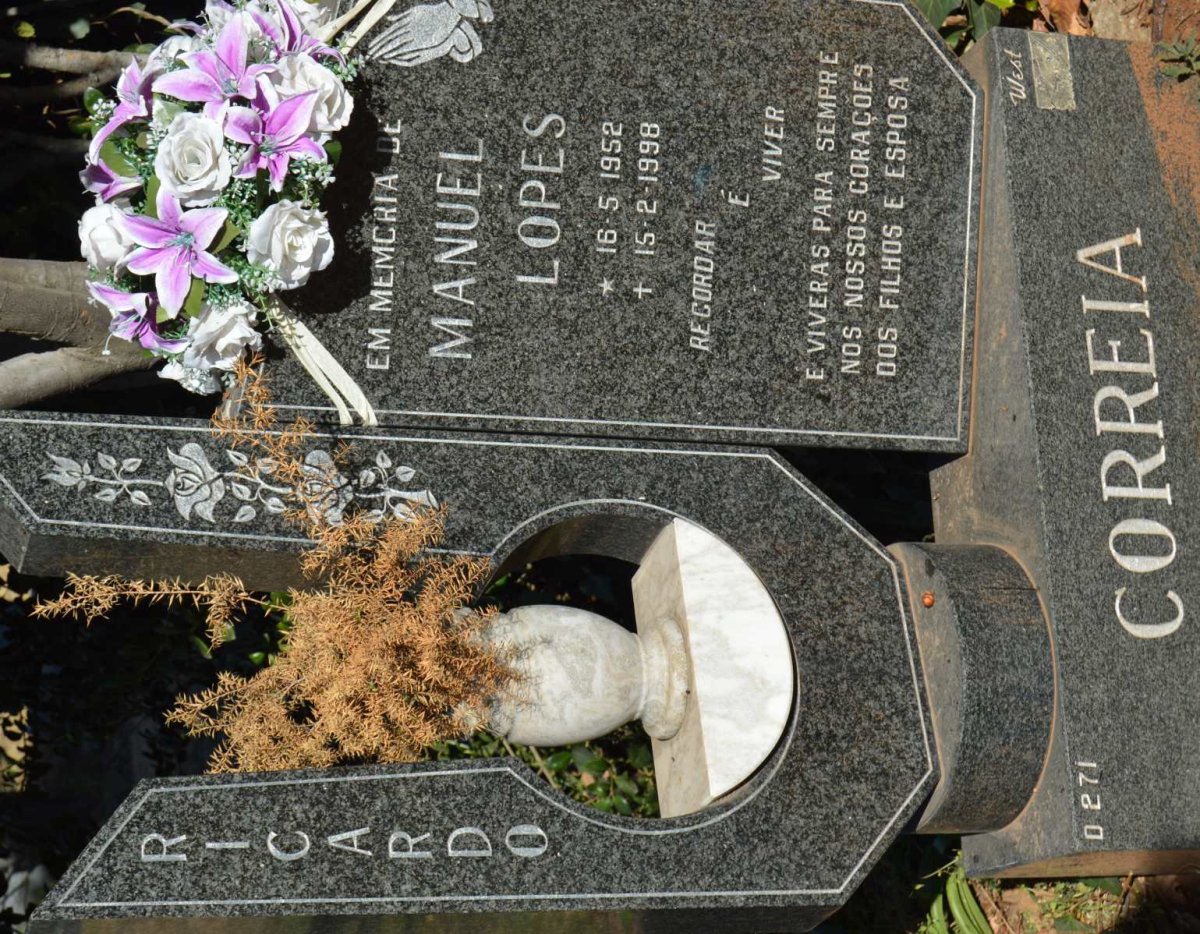CORREIA Ricardo Manuel Lopes 1952-1998