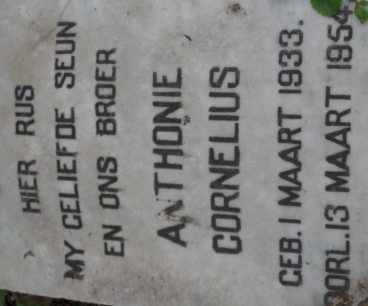 CORNELIUS Anthonie 1933-1954