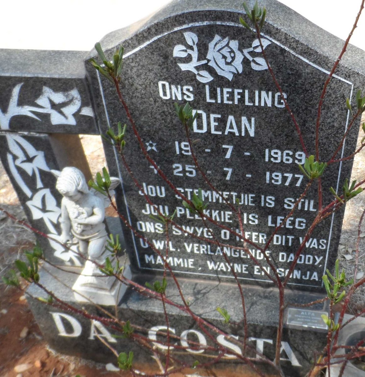 COSTA Dean, da 1969-1977
