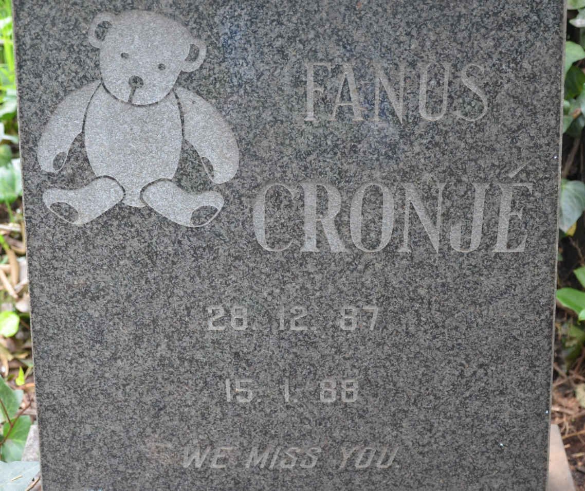 CRONJÉ Fanus 1987-1988