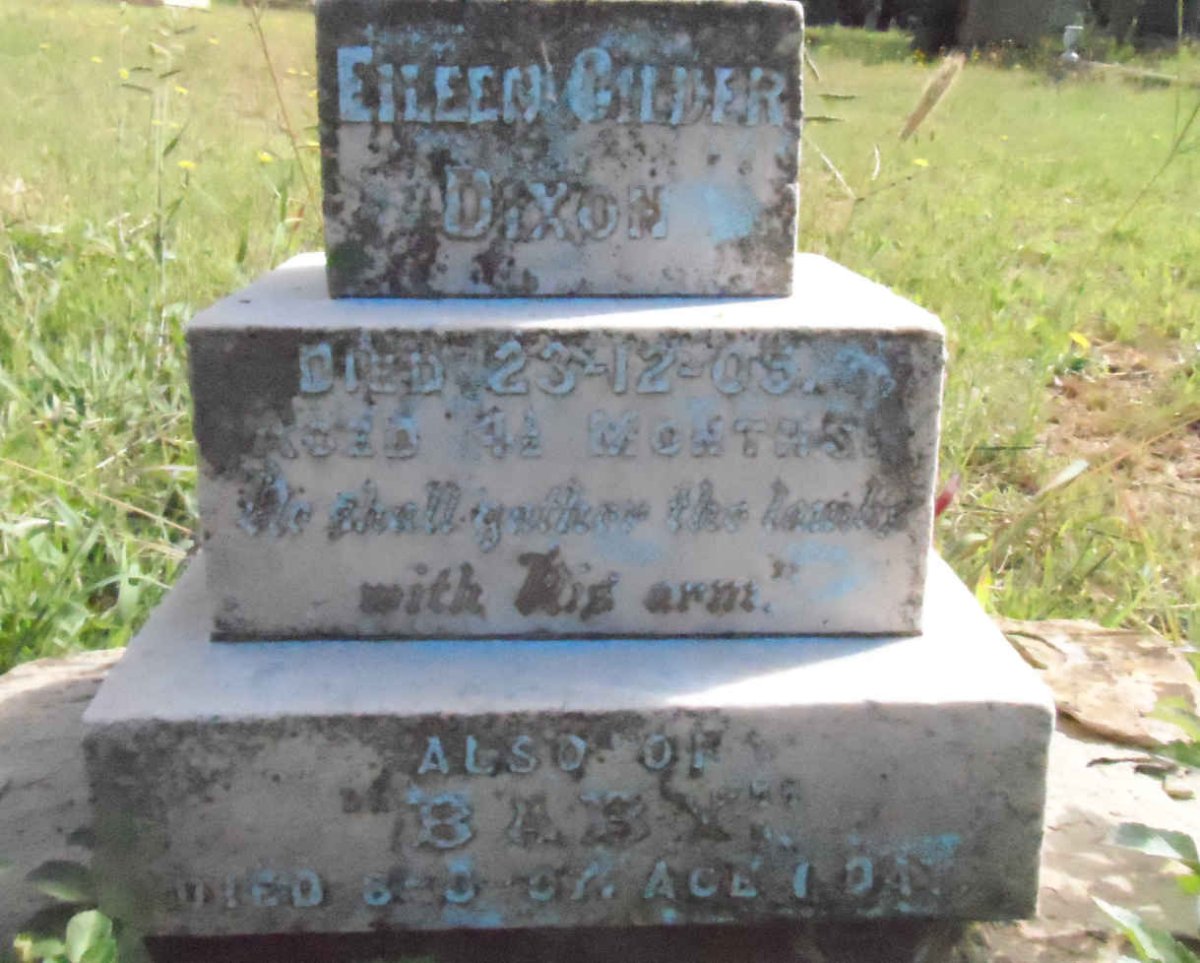 DIXON Eileen Gilder -1905 :: DIXON Baby-1907