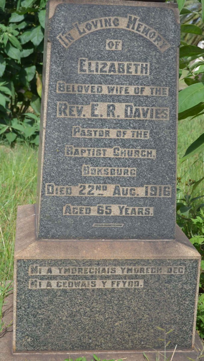 DAVIES Elizabeth -1916