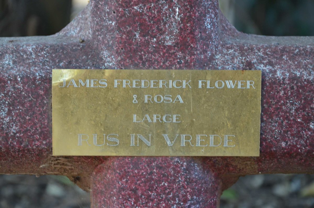 FLOWER James Frederick :: LARGE Rosa
