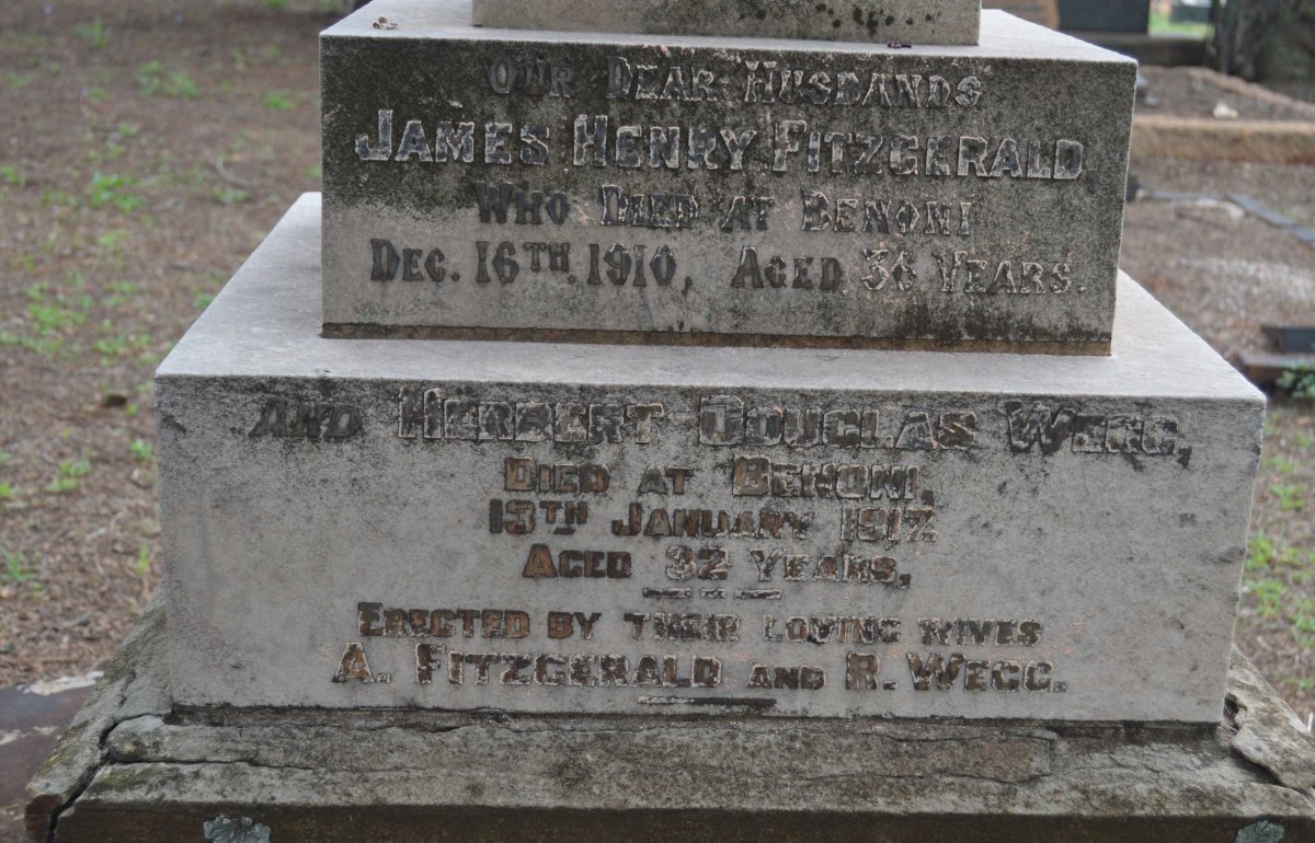 FITZGERALD James Henry -1910 :: WEGG Herbert Douglas -1917