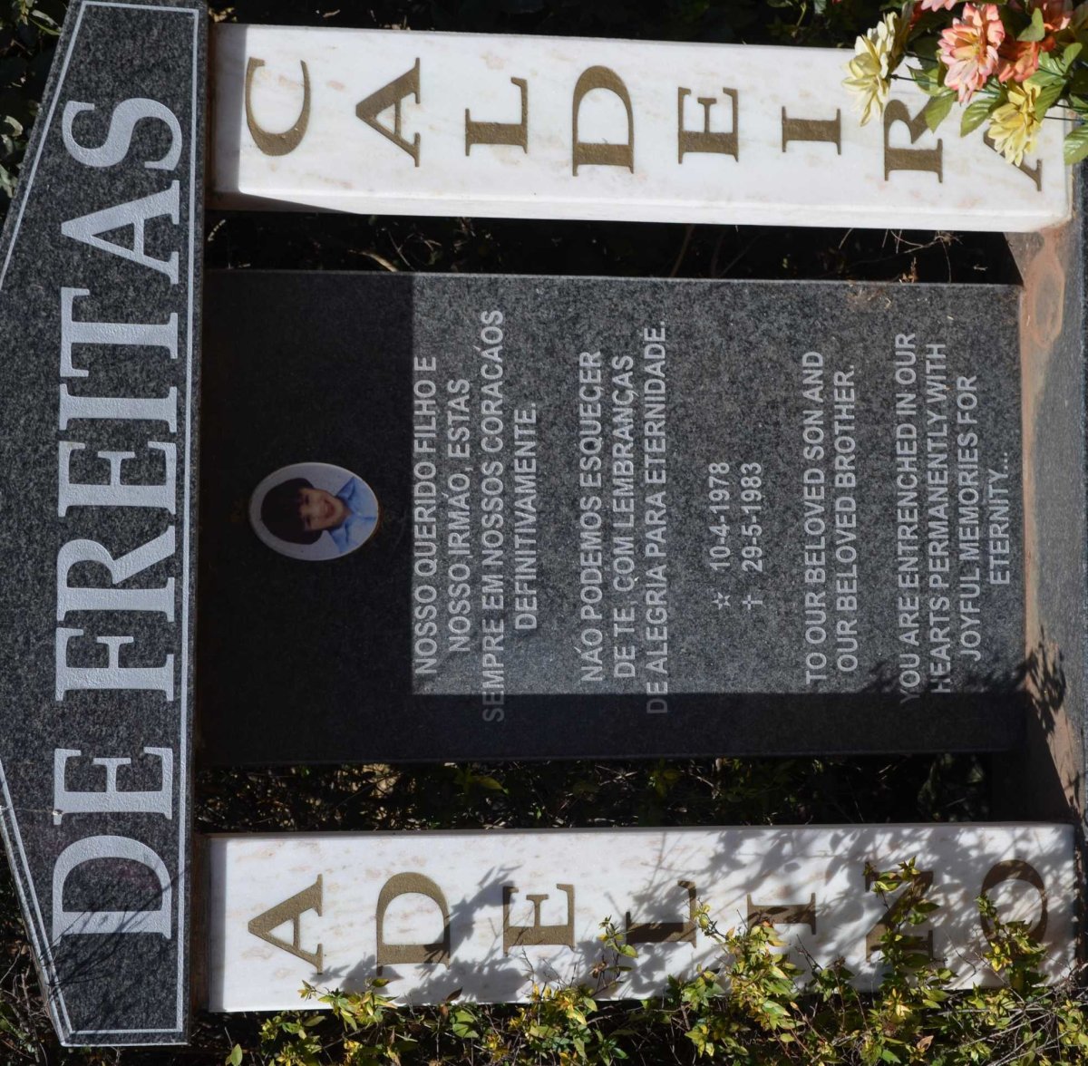 FREITAS Adelino Caldeira, de 1978-1983