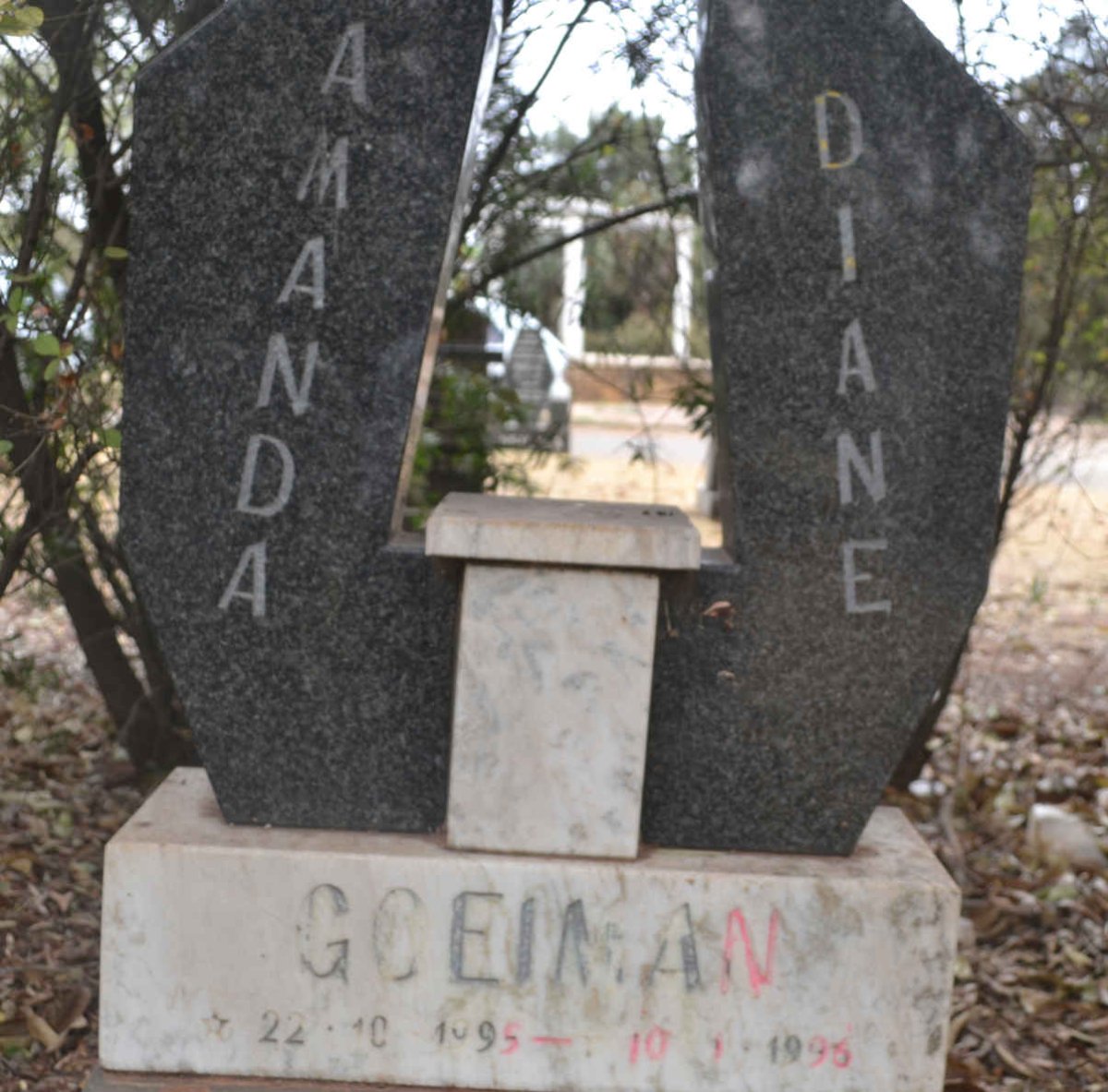 GOEIMAN Amanda Diane 1995-1996