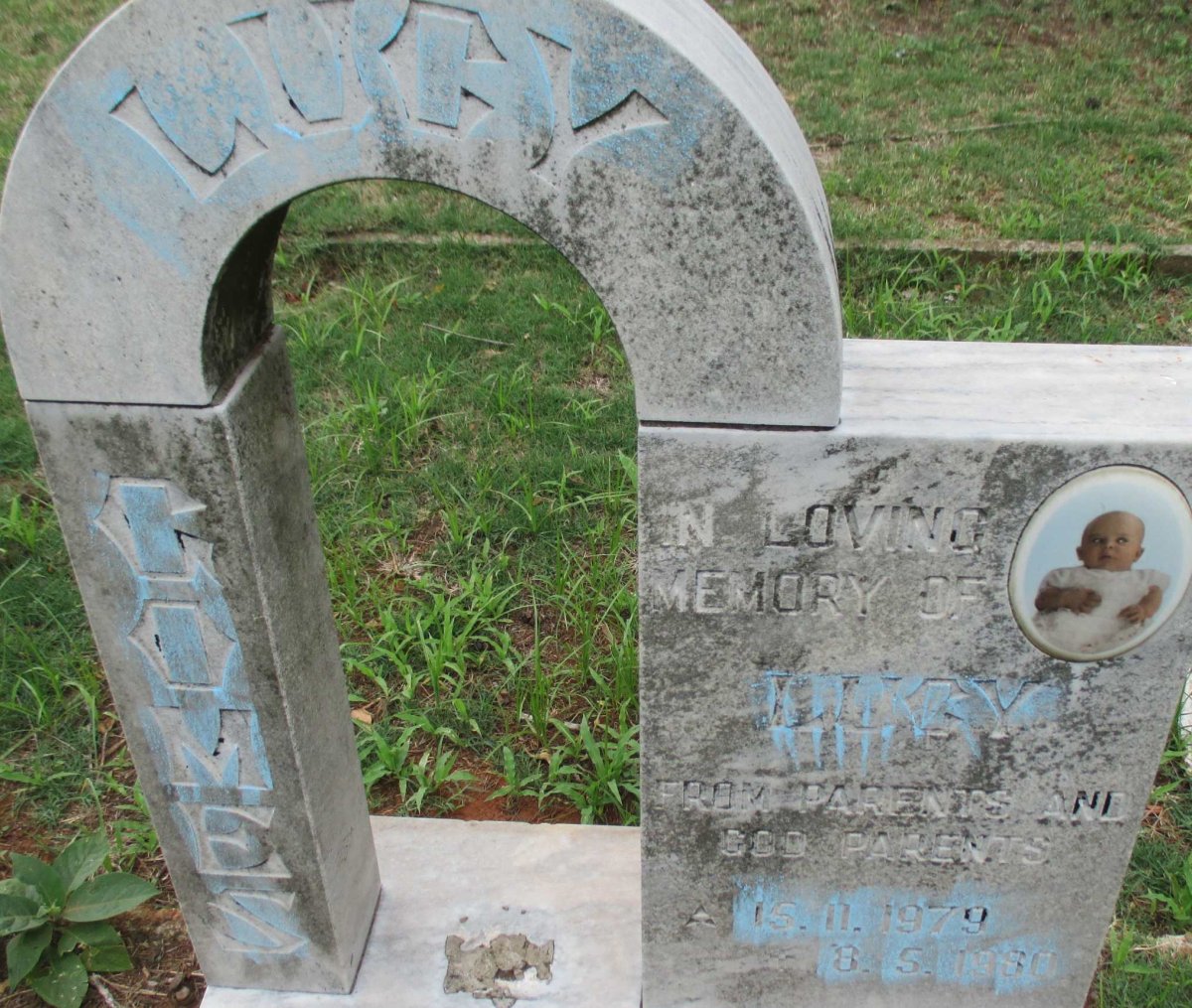 GOMES Lucy 1979-1980