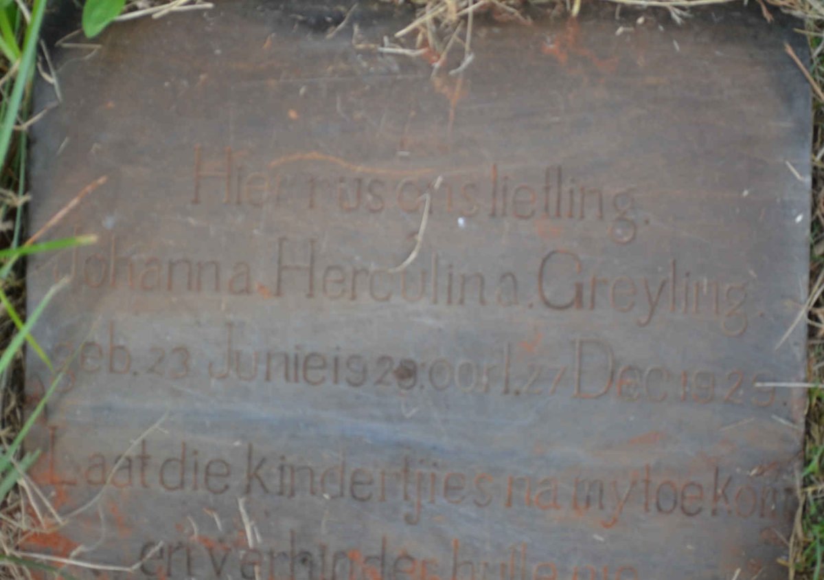 GREYLING Johanna Herculina 1928-1929