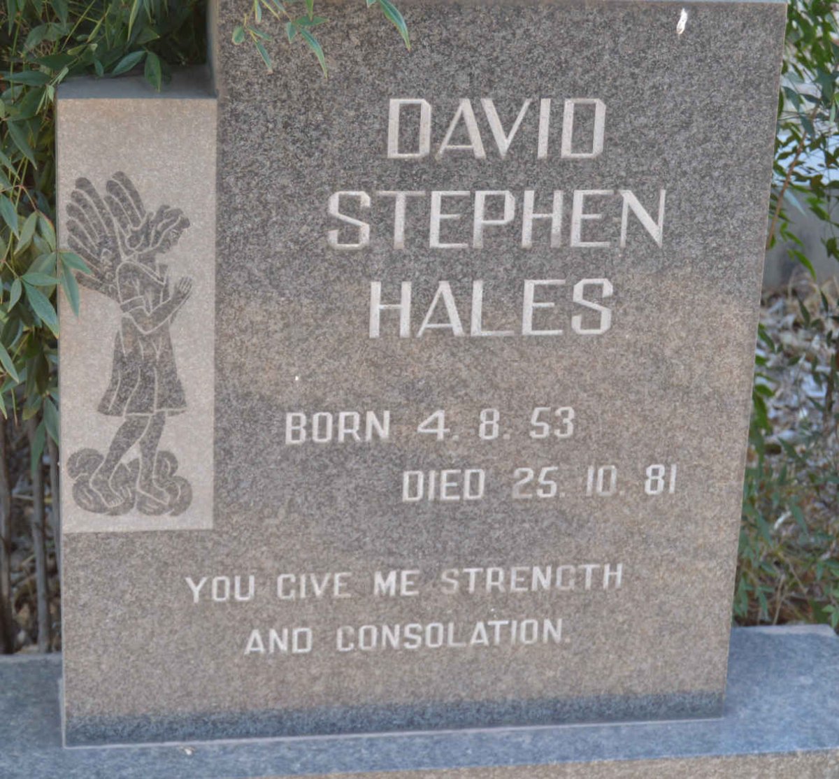 HALES David Stephen 1953-1981