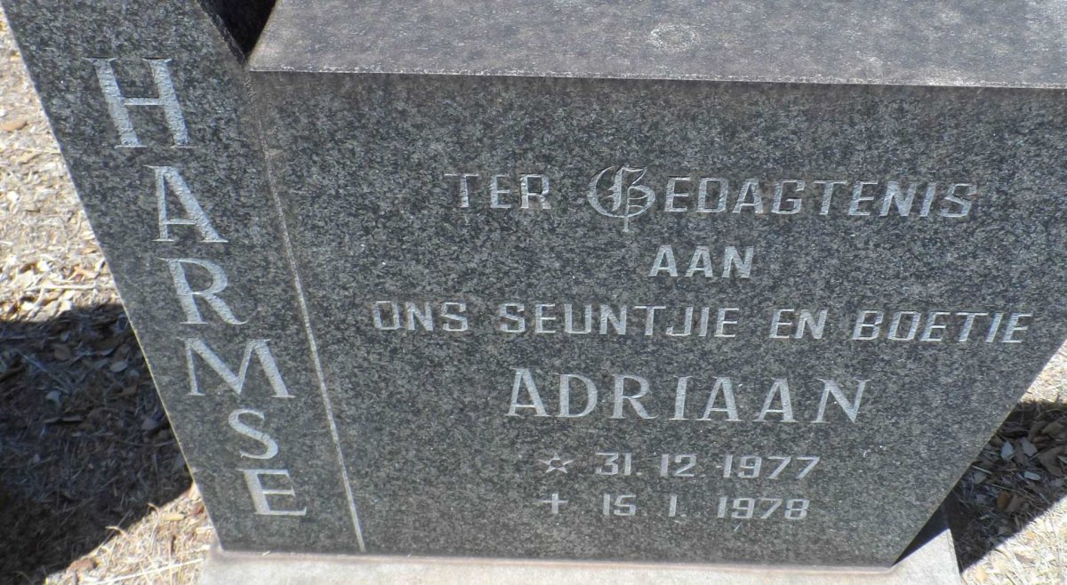 HARMSE Adriaan 1977-1978