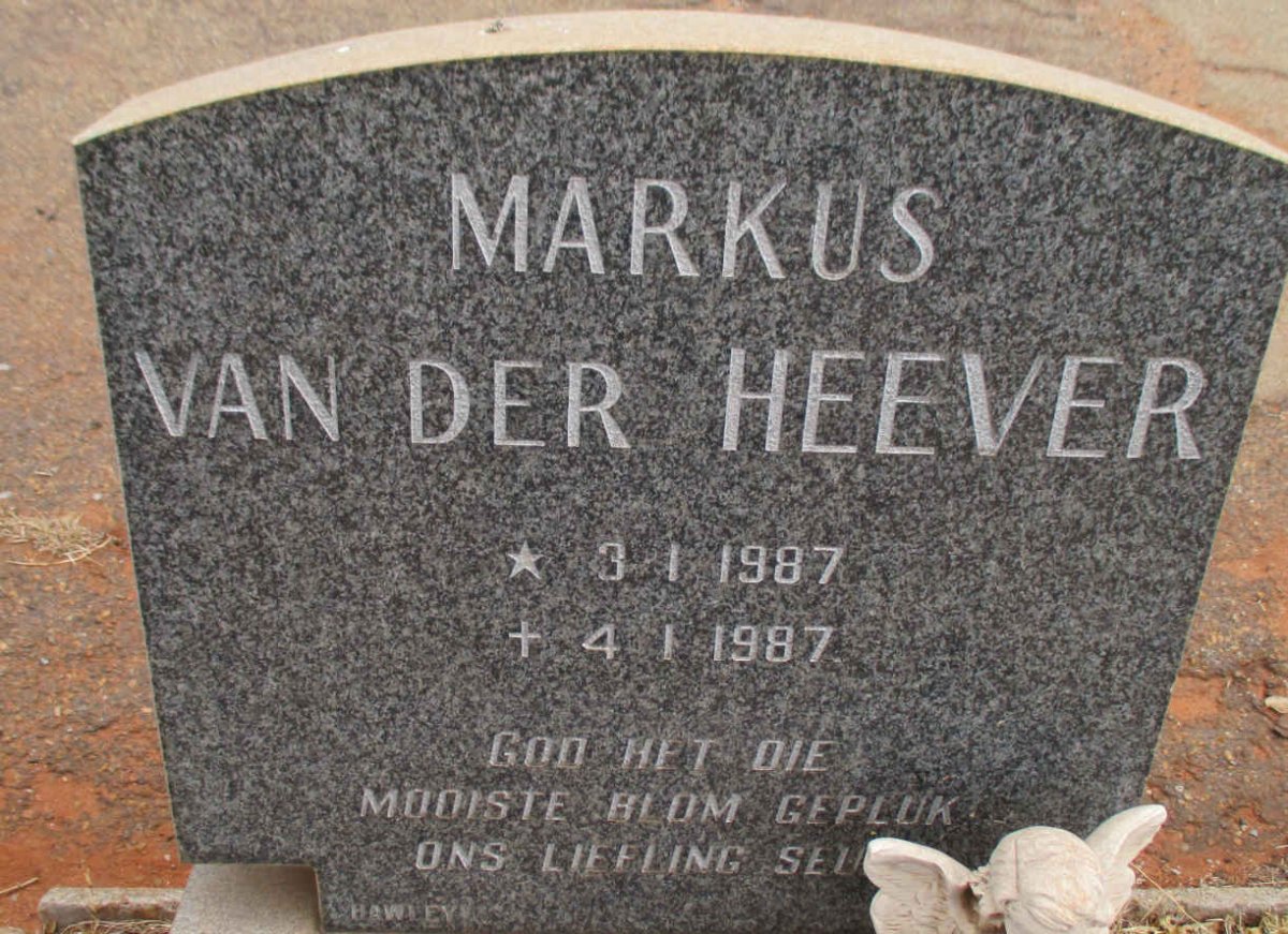 HEEVER Markus, van der 1987-1987