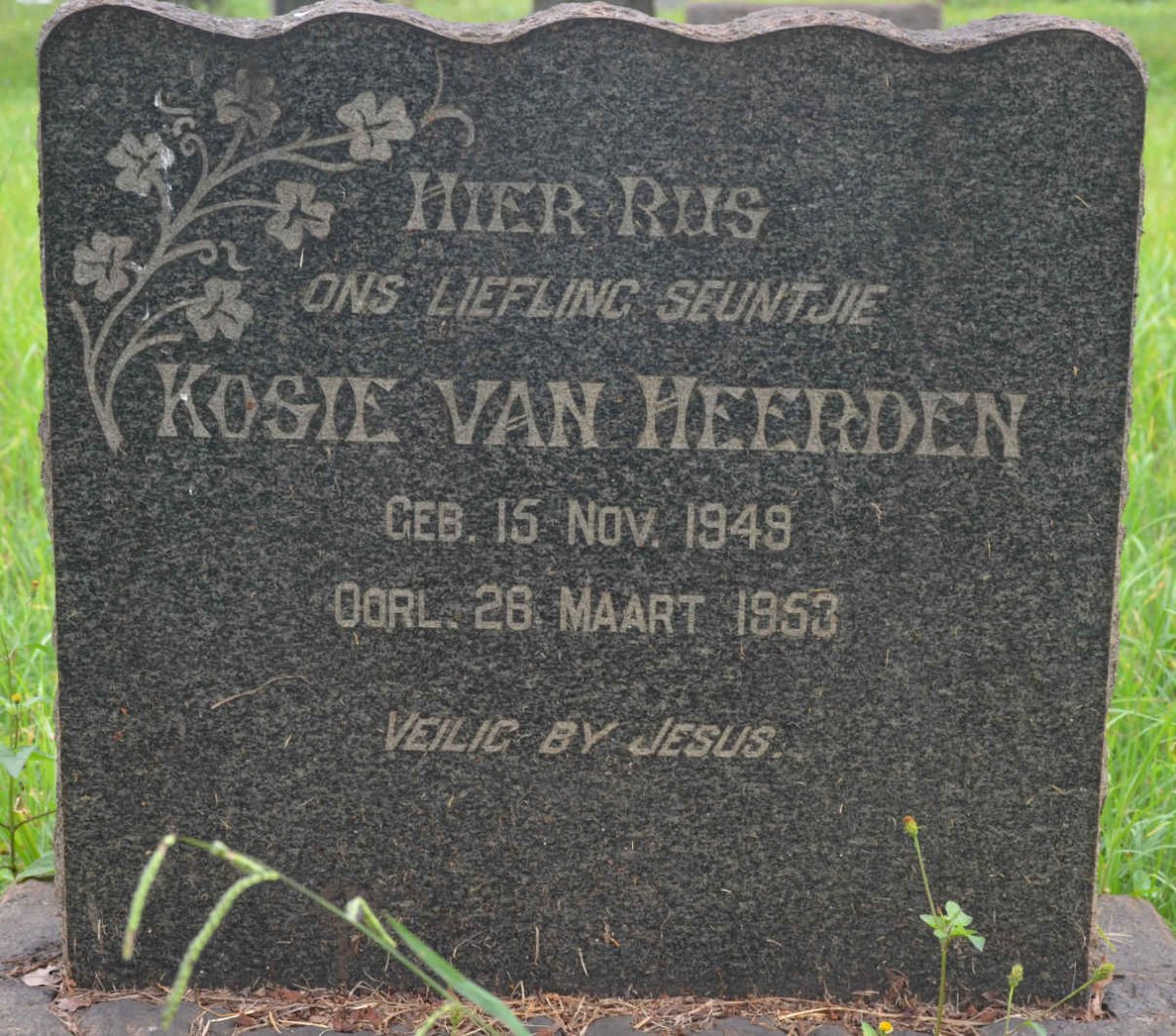 HEERDEN Kosie, van 1949-1953