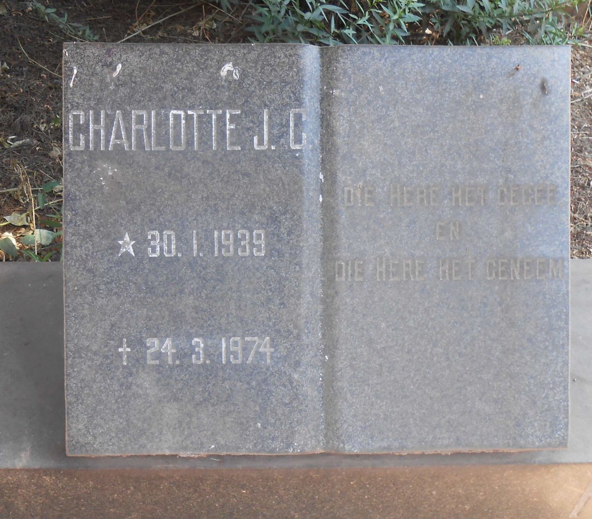 HERBST Charlotte J.C. 1939-1974