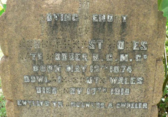 JONES John Ernest 1874-1918
