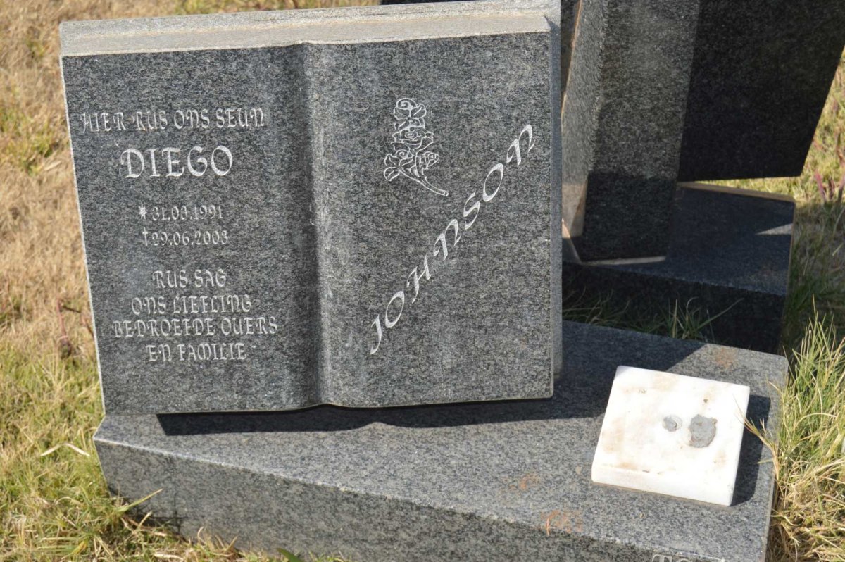 JOHNSON Diego 1991-2003